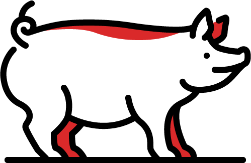 Suinos