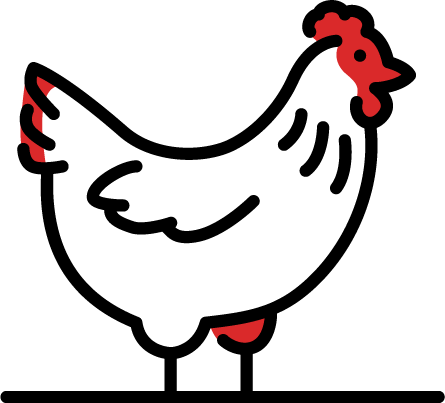 Avicolas